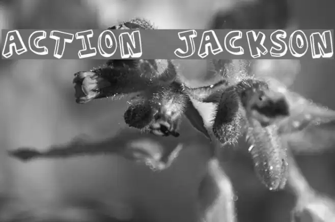 Action Jackson Шрифта examples