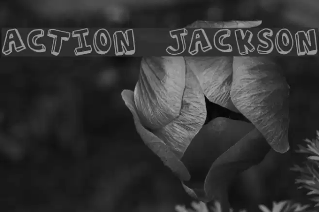 Action Jackson Шрифта examples