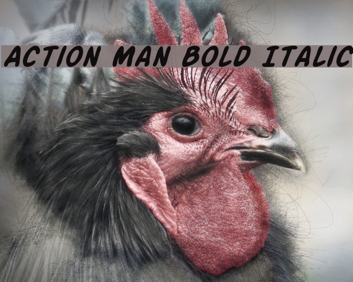 Action Man Bold Italic Font examples