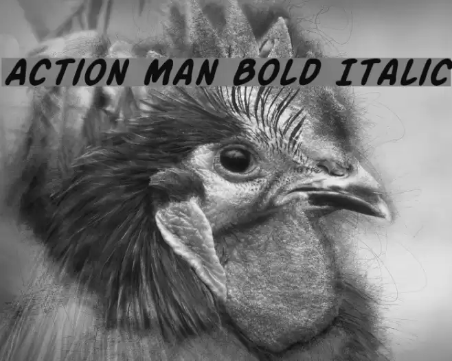 Action Man Bold Italic フォント examples