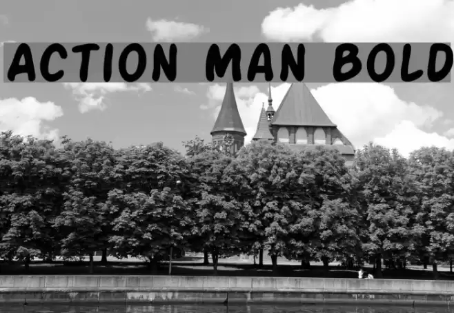 Action Man Bold Polices examples