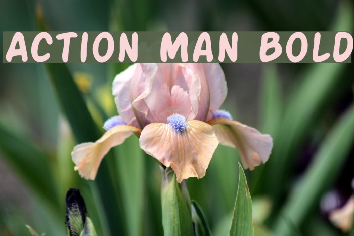 Action Man Bold Font examples