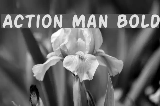 Action Man Bold Polices examples