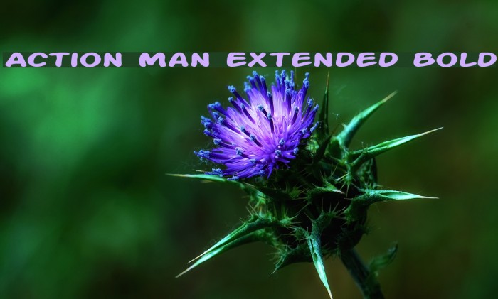 Action Man Extended Bold Font examples