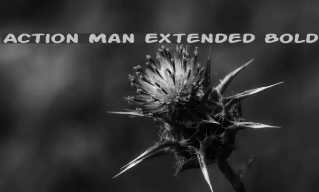 Action Man Extended Bold Polices examples