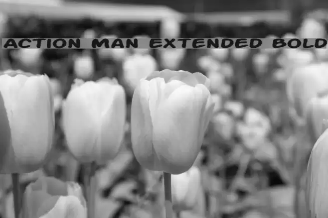 Action Man Extended Bold Polices examples