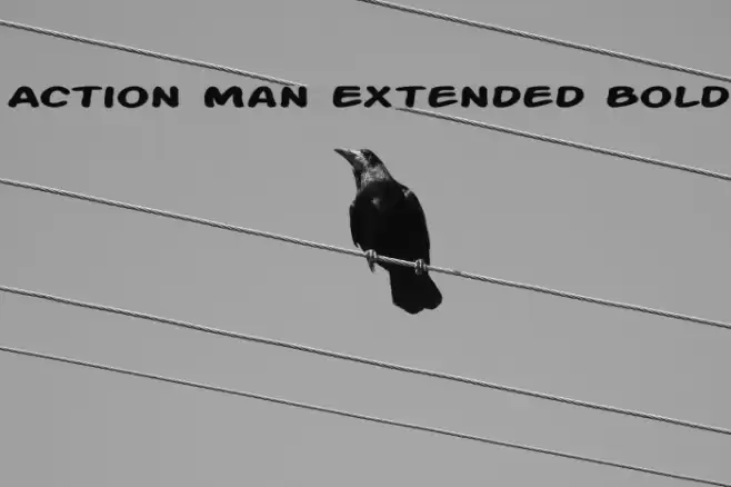 Action Man Extended Bold Polices examples