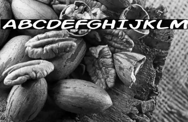 Action Man Extended Italic Font examples