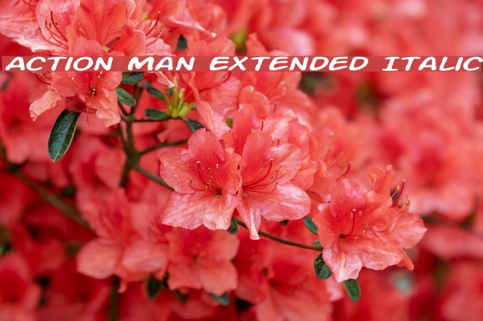 Action Man Extended Italic Font examples
