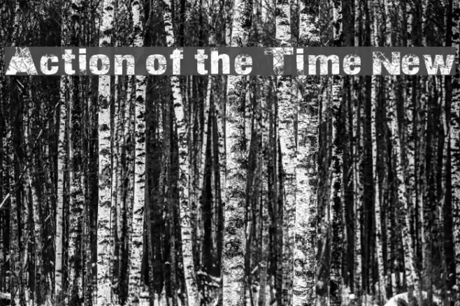 Action of the Time New Schriftart examples