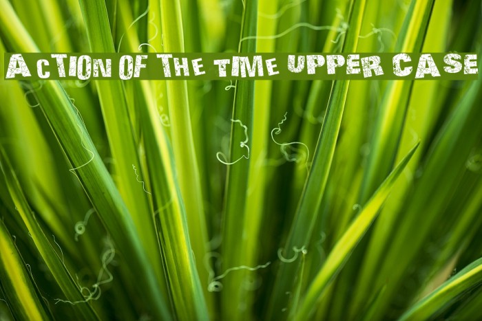 Action of the Time UPPER CASE Font examples