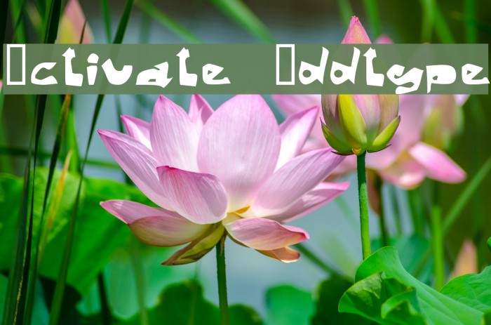 Activate Oddtype Schriftart examples