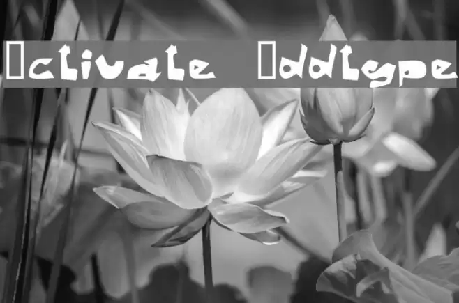 Activate  Oddtype Schriftart examples