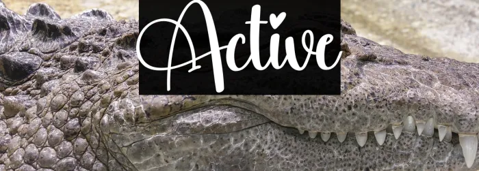 Active Example 1