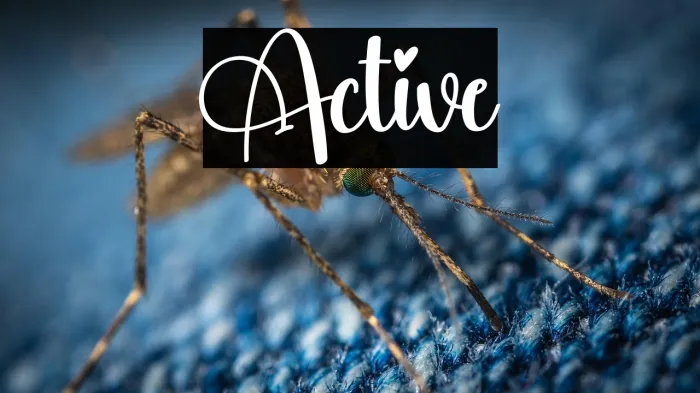 Active Example 2