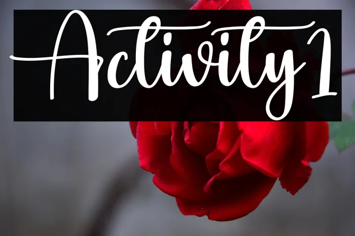 Activity1 Example 1