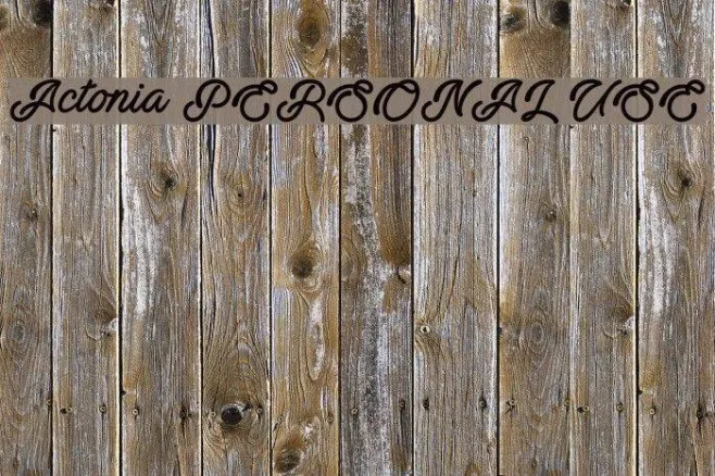 Actonia PERSONAL USE Example 3