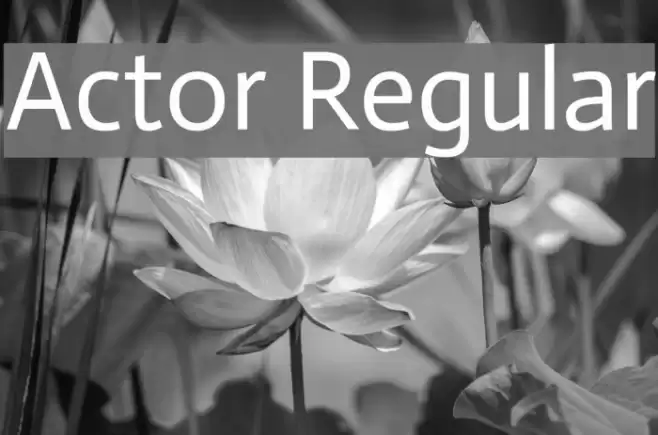 Actor Regular  examples