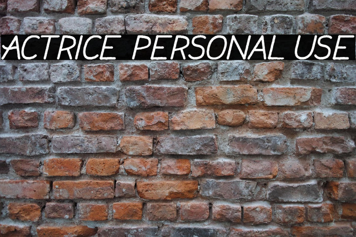 Actrice Personal Use Example 2