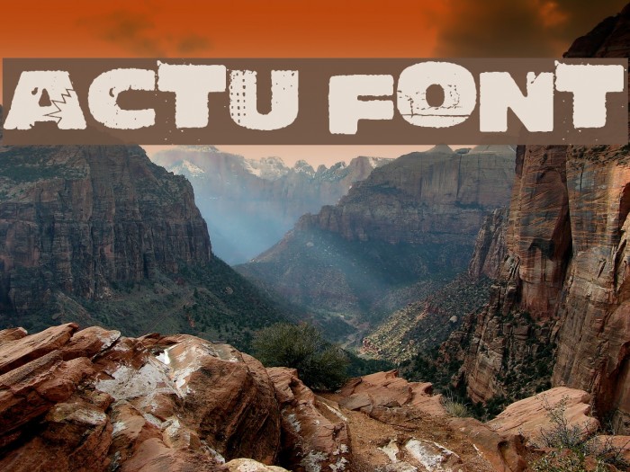Actu Font examples