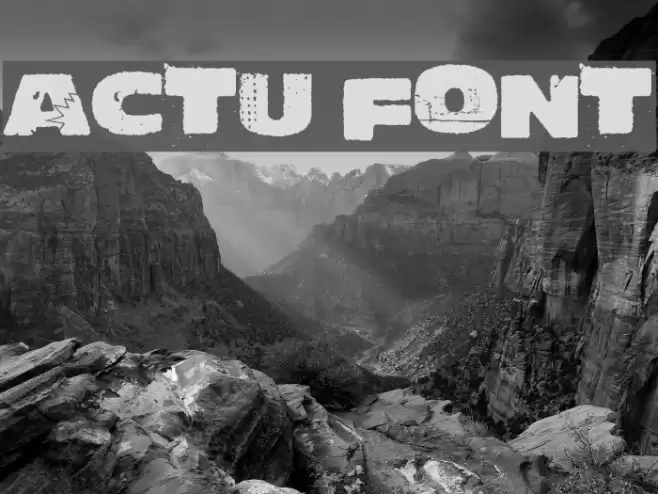Actu Font examples