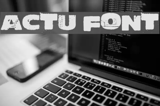 Actu Font examples