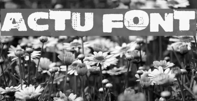 Actu Font examples