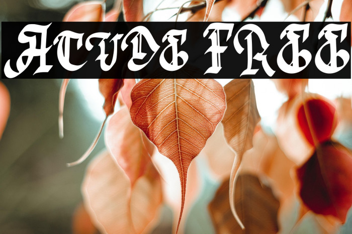 Acude FREE Example 1