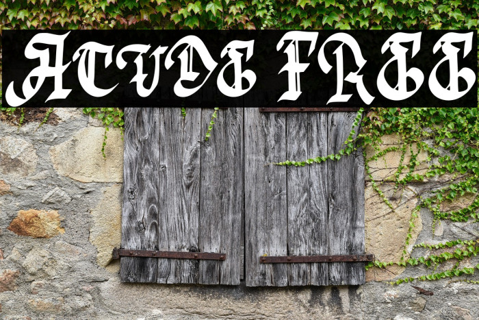 Acude FREE Example 2