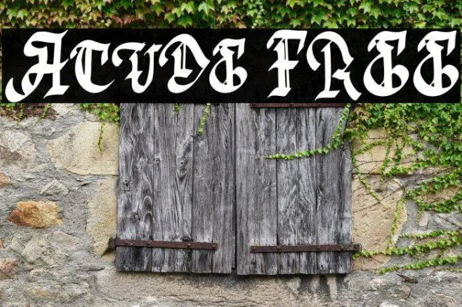 Acude FREE Example 2