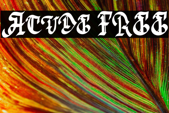 Acude FREE Example 3