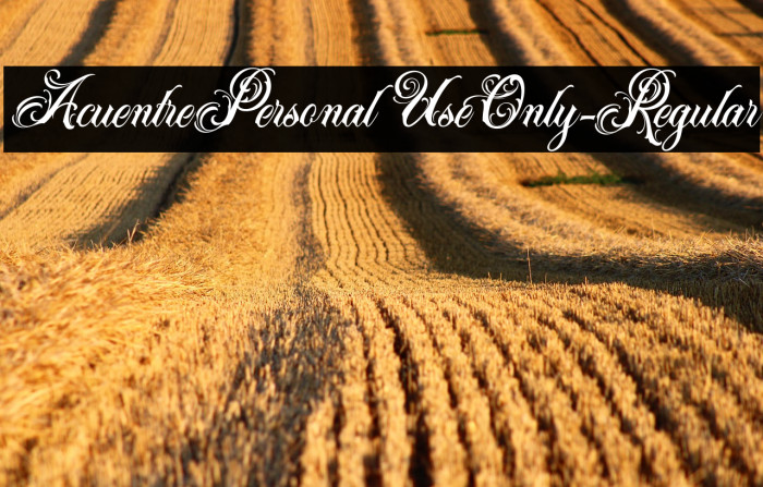 AcuentrePersonalUseOnly-Regular Example 3
