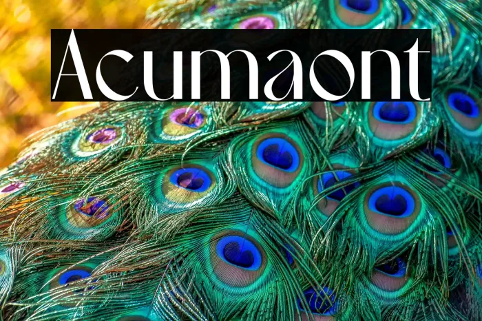 Acuma Example 2