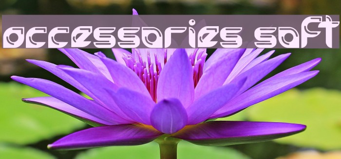 accessories soft Font examples