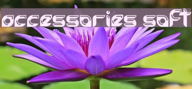 accessories soft Example 2