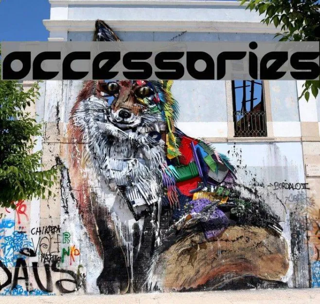 accessories Example 2