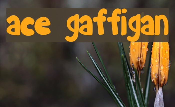 ace gaffigan Font examples