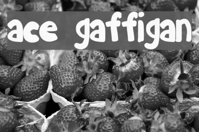 ace gaffigan Fonte examples