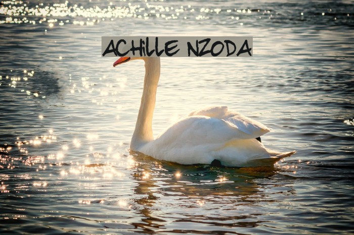 achille nzoda Font examples
