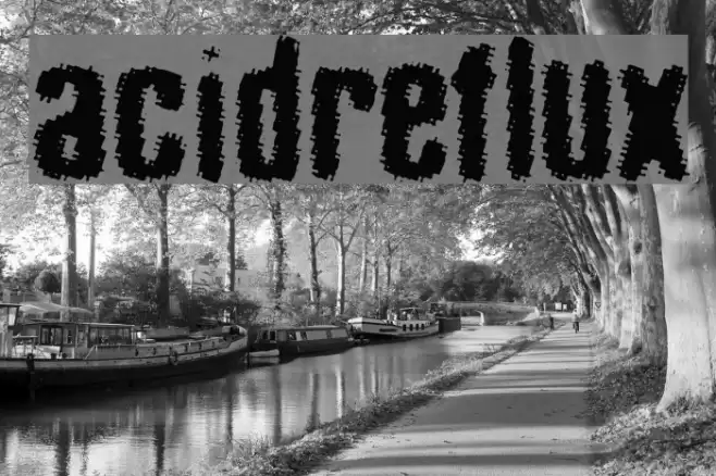 acid_reflux フォント examples