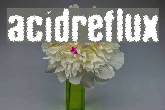 acid_reflux Font examples