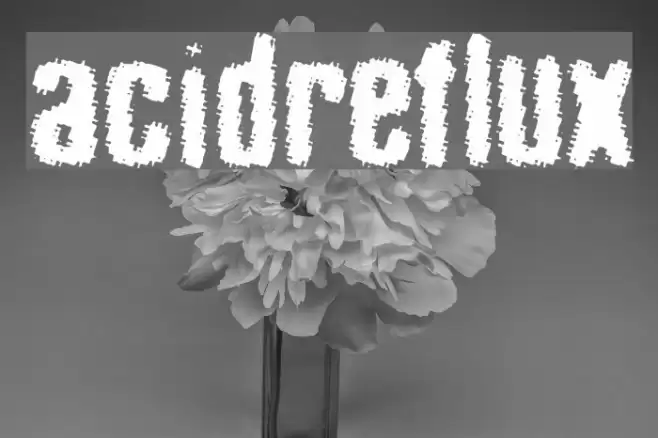 acid_reflux フォント examples
