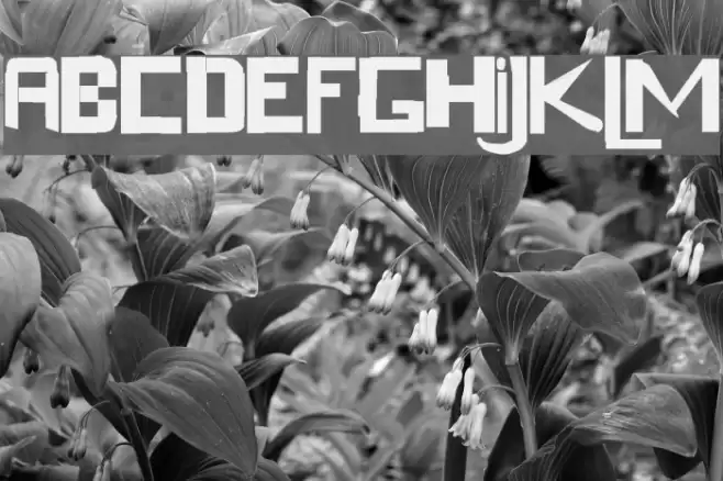 acogessic Font examples