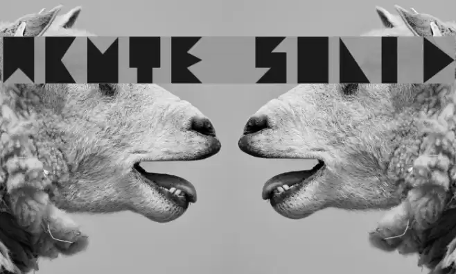 acute solid Font examples