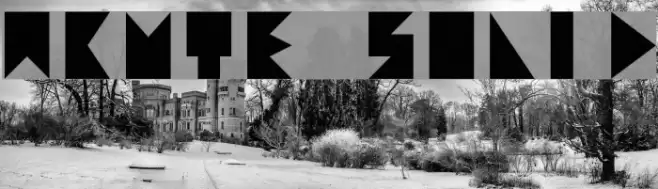 acute solid Font examples