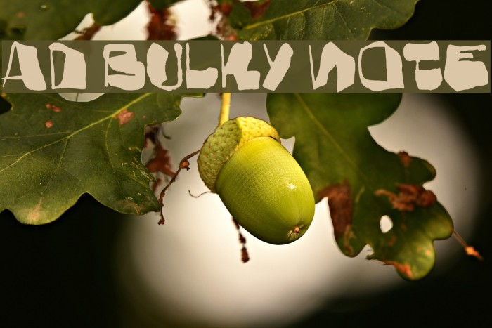 AD Bulky Note Fuentes examples