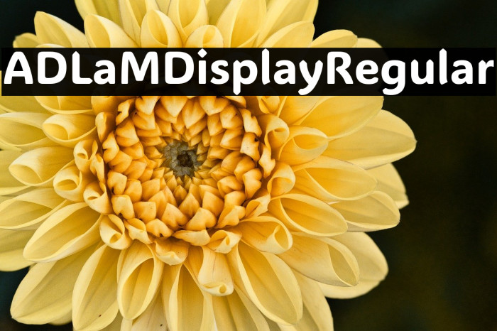 ADLaM Display Regular Example 2