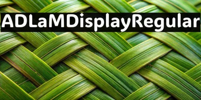 ADLaM Display Regular Example 3