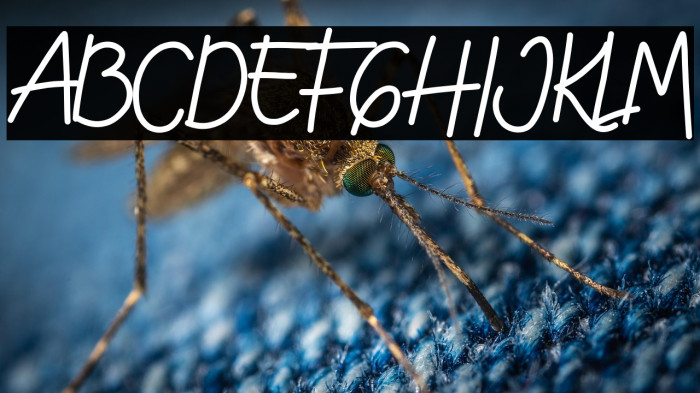 ADOLF WOLFETT DEMO Example 3