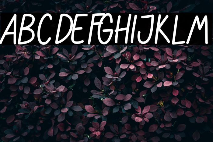 ADVENTURE AWAIT Example 3